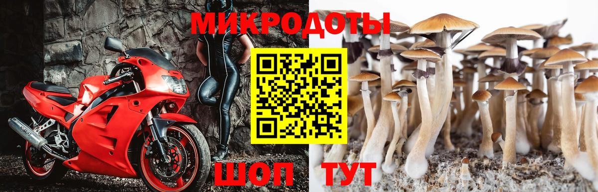 Галлюциногенные грибы мухоморы  Галлюциногенные грибы ЛСД  Копейск  Вход с VPN 